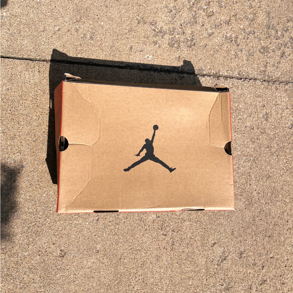 Jordan Retro 12 size 13 stealth color way